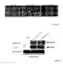 Fig. 33 - ANTIBODIES AGAINST ACTIN-BINDING PROTEIN GIRDIN AND METHODS OF MAKING AND USING THE SAME