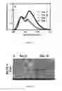Fig. 02 - Compositions and methods for making and using oxygen sensing nanofibers and scaffolds