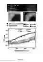 Fig. 10 - Compositions and methods for making and using oxygen sensing nanofibers and scaffolds