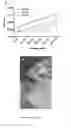 Fig. 19 - Compositions and methods for making and using oxygen sensing nanofibers and scaffolds