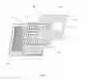 Fig. 29 - Immunogenicity Assay