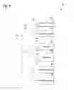 Fig. 07 - Integrated circuit with distributed clock tampering detectors
