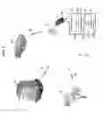 Fig. 02 - Electromagnetic reflection profiles
