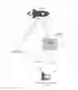 Fig. 01 - Three-dimensional triangulation and time-of-flight based tracking systems and methods