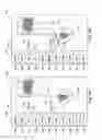 Fig. 09 - 4D volumetric weather data processing and display