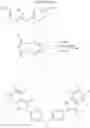 Fig. 37 - Blend prepared by mixing a prepolymer and a vinyl monomer and a polymer sheet obtained therefrom