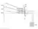 Fig. 01 - Compound Eye Optical System And Imaging Device