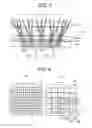 Fig. 06 - Compound Eye Optical System And Imaging Device