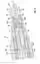 Fig. 06 - Ruggedized fiber optic/electrical connector