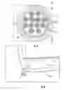 Fig. 04 - Micromodule cables and breakout cables therefor