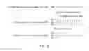 Fig. 09 - Display device