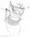 Fig. 06 - Holder for a mobile device to capture images