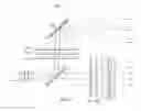 Fig. 06 - Polarization conversion systems for stereoscopic projection