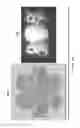 Fig. 58 - System and method for applying orthogonal limitations to light beams using microelectromechanical systems