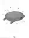 Fig. 04 - BIOFEEDBACK WATCHES
