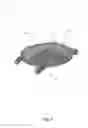 Fig. 07 - BIOFEEDBACK WATCHES