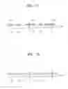 Fig. 12 - Touch screen panel fabrication method and touch screen panel