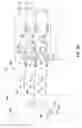 Fig. 04 - Single layer capacitive imaging sensors