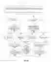 Fig. 10 - Display of a plurality of files from multiple devices