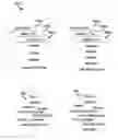 Fig. 01 - Preprocessor directive symbol analyzer devices and methods
