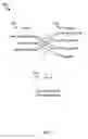 Fig. 04 - Preprocessor directive symbol analyzer devices and methods