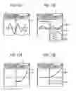Fig. 10 - Graph display apparatus, graph display method and program recording medium