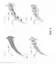 Fig. 05 - Style extensibility applied to a group of shapes by editing text files