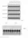Fig. 05 - DISTRIBUTED DATA STORE