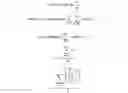 Fig. 02 - Systems, methods, and interfaces for extending legal search results