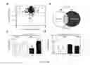 Fig. 04 - COMPOSITIONS AND METHODS RELATED TO OBSTRUCTIVE SLEEP APNEA