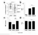 Fig. 10 - COMPOSITIONS AND METHODS RELATED TO OBSTRUCTIVE SLEEP APNEA