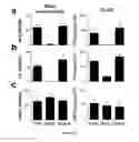 Fig. 12 - COMPOSITIONS AND METHODS RELATED TO OBSTRUCTIVE SLEEP APNEA