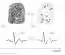 Fig. 01 - User authentication method and apparatus based on fingerprint and electrocardiogram (ECG) signal