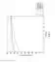 Fig. 09 - SYSTEM AND METHOD FOR DETERMINING VIEW INVARIANT SPATIAL-TEMPORAL DESCRIPTORS FOR MOTION DETECTION AND ANALYSIS
