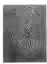 Fig. 01 - Multi-view fingerprint matching