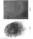 Fig. 03 - Multi-view fingerprint matching