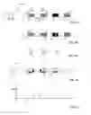 Fig. 03 - Security element for value documents