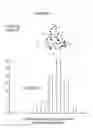 Fig. 01 - Data-driven analytics, predictive modeling and optimization of hydraulic fracturing in shale