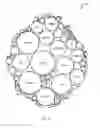 Fig. 11 - IDENTIFICATION AND BRIDGING OF KNOWLEDGE GAPS