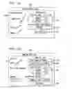 Fig. 23 - SYSTEM AND METHOD FOR PROCESSING GIFT CARDS BY INTERCEPTING A PURCHASING TRANSACTION