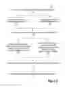 Fig. 06 - ADVERTISEMENT IMPRESSIONS AND CUSTOMER TRANSACTION CORRELATION FOR ADVERTISEMENT VALIDATION INCLUDING INFLUENCERS