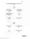 Fig. 07 - ADVERTISEMENT IMPRESSIONS AND CUSTOMER TRANSACTION CORRELATION FOR ADVERTISEMENT VALIDATION INCLUDING INFLUENCERS