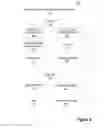 Fig. 05 - ADVERTISEMENT IMPRESSIONS AND CUSTOMER TRANSACTION CORRELATION FOR ADVERTISEMENT VALIDATION