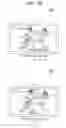 Fig. 48 - Device and control method for the device