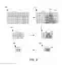 Fig. 05 - System and method for increasing the bit depth of images