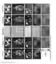 Fig. 12 - Vision correcting display with aberration compensation using inverse blurring and a light field display
