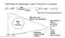 Fig. 01 - System, method and computer-accessible medium for obtaining and/or determining mesoscopic structure and orientation with fiber tracking
