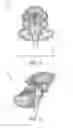 Fig. 04 - Improving symmetry in brain scans