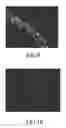 Fig. 08 - Apparatus and method for searching for image