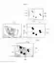 Fig. 04 - Method and apparatus for processing image